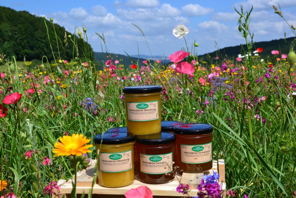 Meißner Waldblüte - Bioland Honig