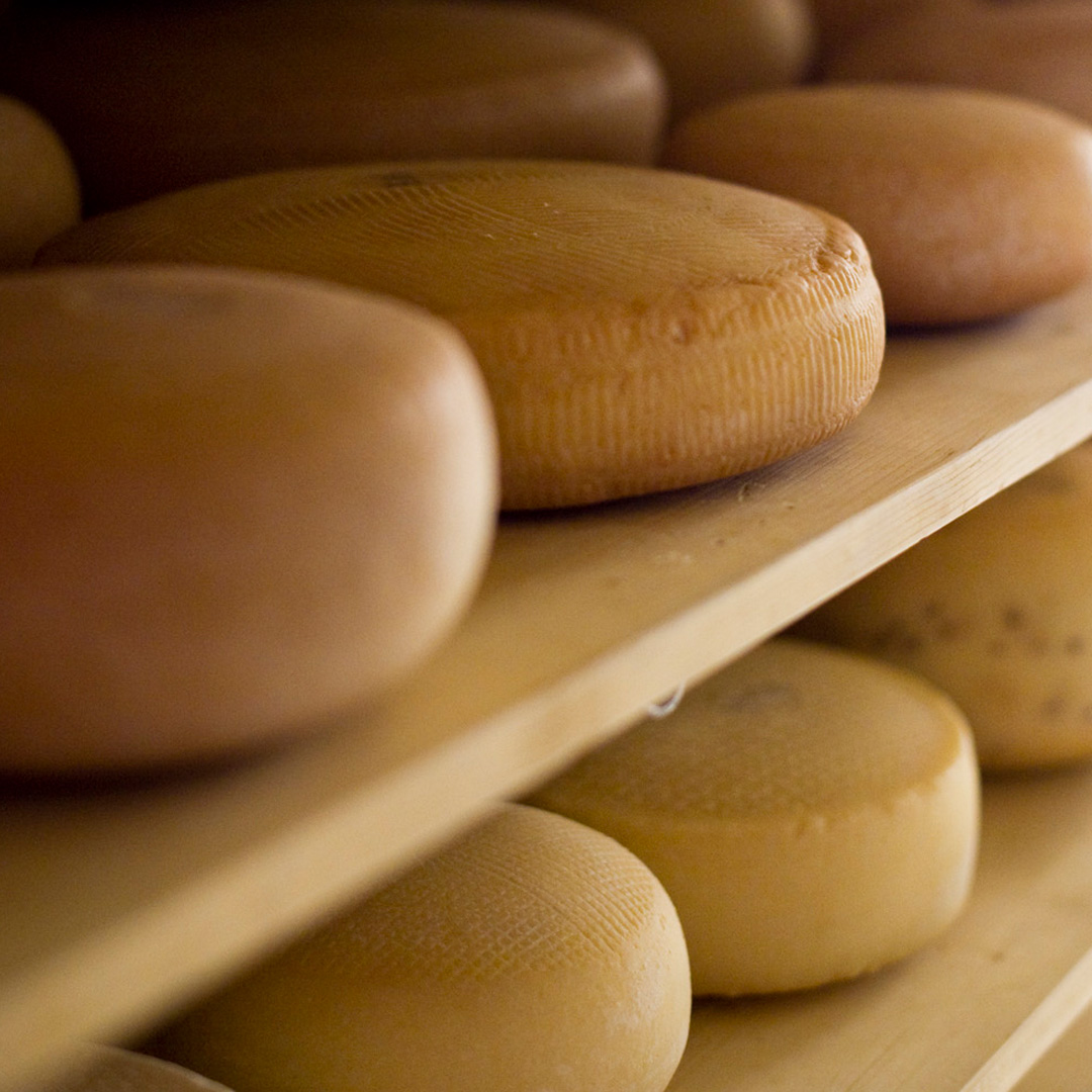 Bio Käse aus der Hofkäserei: hier online bestellen